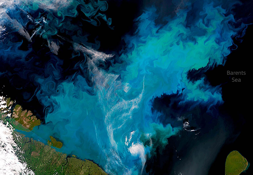 Phytoplankton Bloom © Copernicus Sentinel3